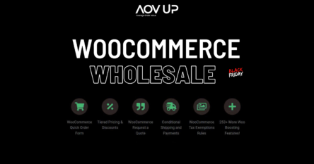 Black Friday Promotional landscape aovup